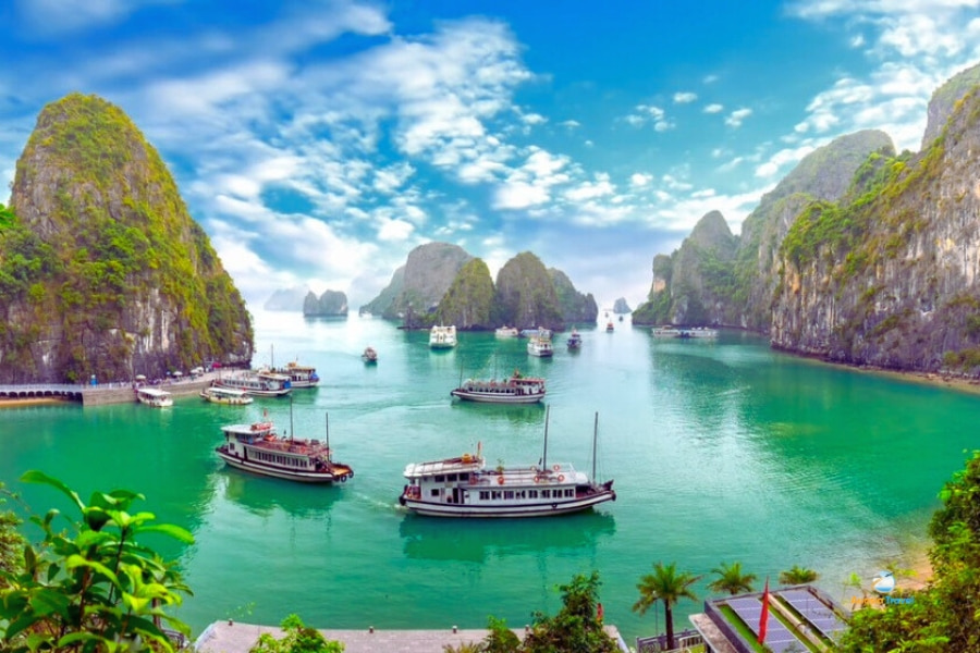 Cruise boats sailing on emerald waters of Halong Bay Vietnam – Auasia Travel